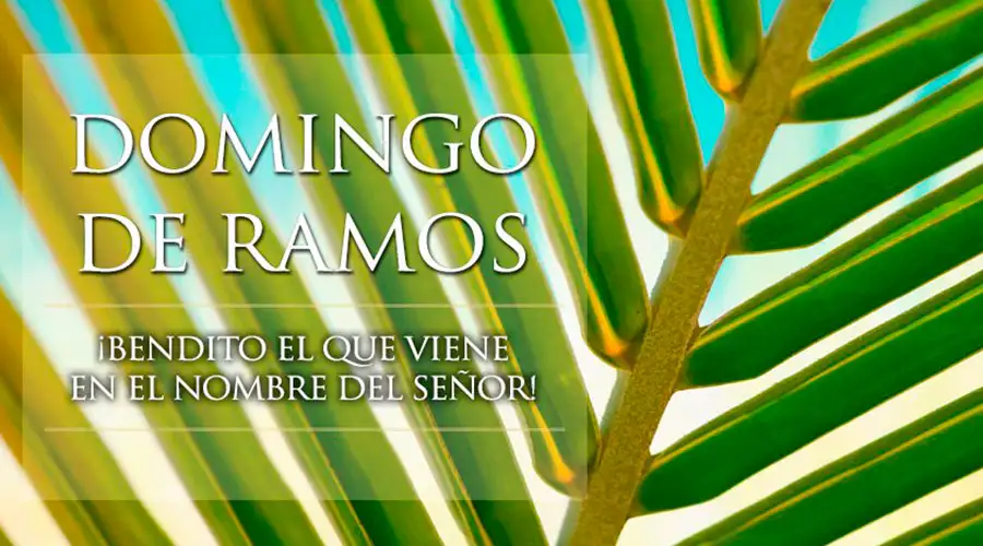 domingo de ramos